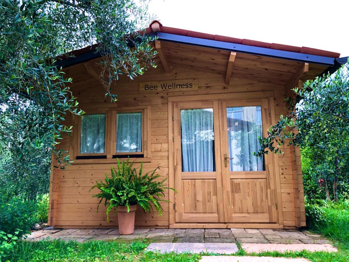 Beehouse - La Casa Delle Api Agriturismo Borso del Grappa Bagian luar foto